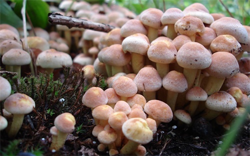 巴菲特为什么这么有钱(巴菲特是怎么富起来的)